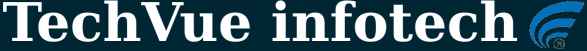 TechVue Infotech Logo
